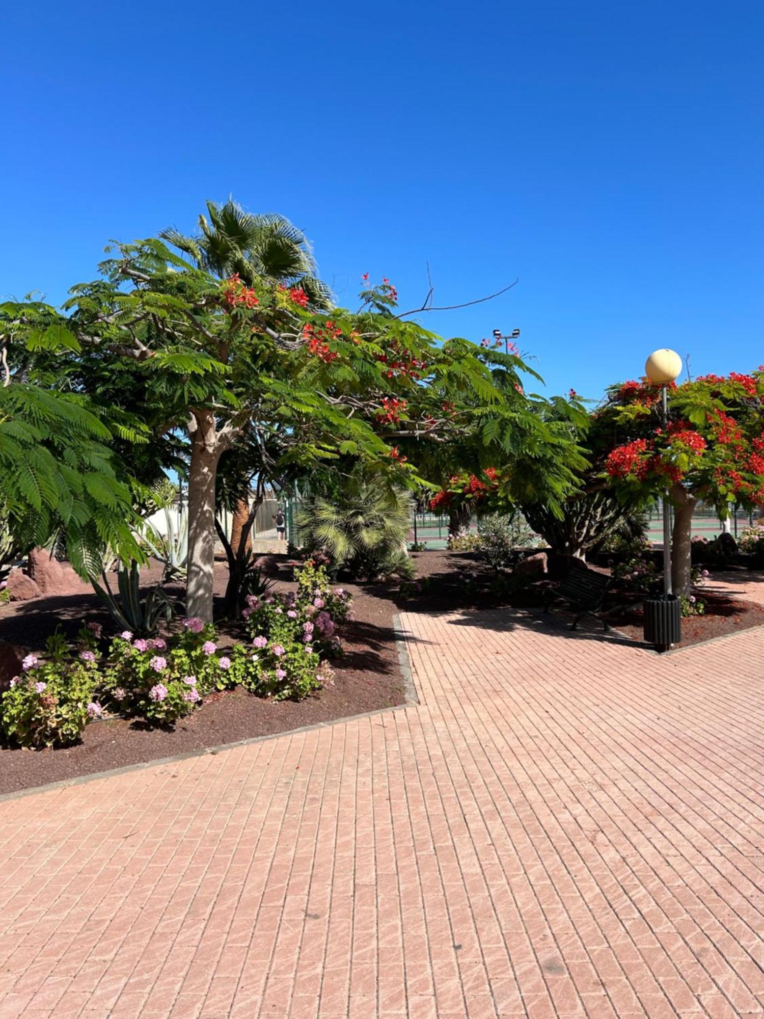 Honey Bunch Apartment Caleta De Fuste Exterior photo